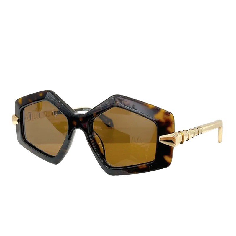 stylish luxury clear frame sunglasses